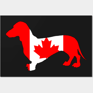 Canada Dachshund Posters and Art